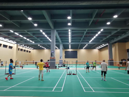 羽毛球照明設(shè)計(jì)標(biāo)準(zhǔn)和技術(shù)要求